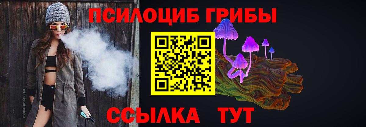Псилоцибиновые грибы Psilocybine cubensis  Вход с VPN  Самара  Псилоцибиновые грибы Psilocybe 